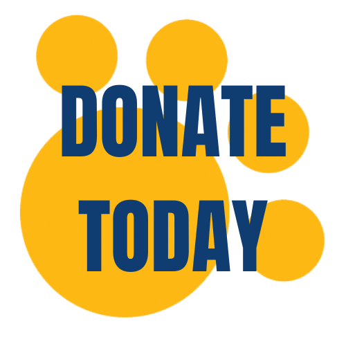 Donate recurring